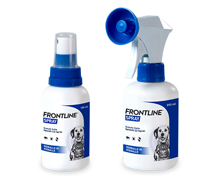 frontline sumute