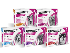 Frontect-Catalog-Thumbnail-Range-280x210.jpg