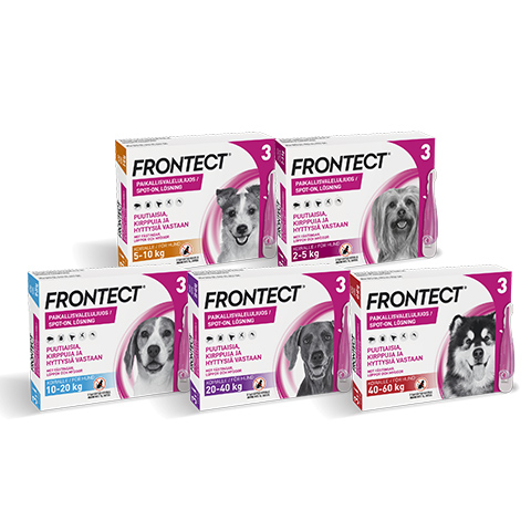 frontect koirille