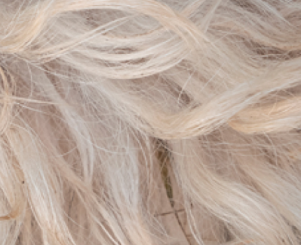 Anna turkin kuivua itsekseen