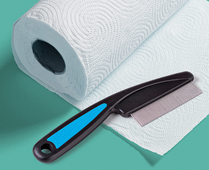 Vaihe 1: Etsi tiheä kampa ja valkoista paperia, esim. talouspaperia.